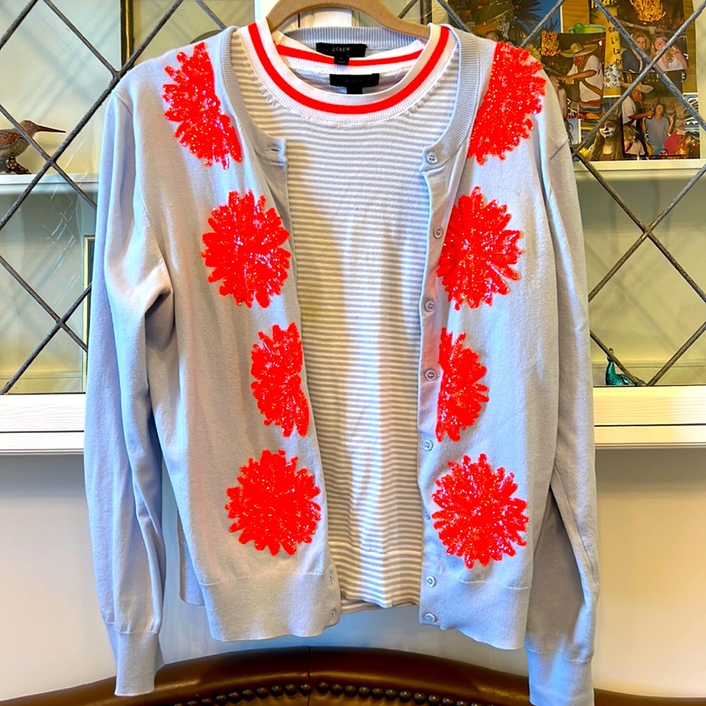 J Crew crew top and sweater